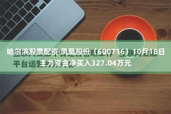 哈尔滨股票配资 凤凰股份（600716）10月18日主力资金净买入327.04万元